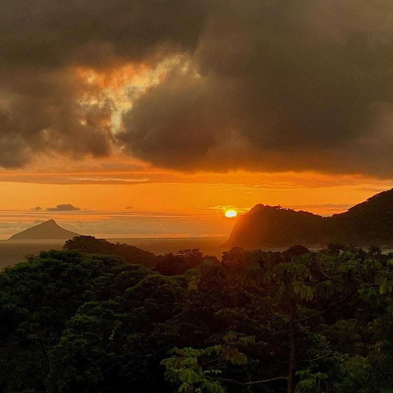 D11 - Conforto junto a natureza - Praia de Camburizinho